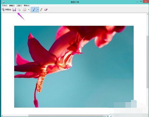 怎么用键盘截图？教你键盘热键快速截图的操作方法