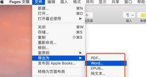 pages文件怎么打开？教你windows轻松查看pages文件的方法