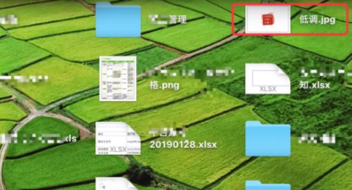 MAC文件如何剪切？MAC中剪切复制文件的方法！