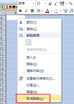 表格怎么取消隐藏？excel表格被隐藏的恢复方法