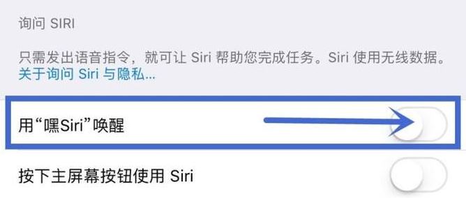 siri怎么打开?(嘿siri)功能开启方法