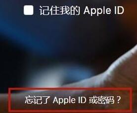 怎么修改苹果id密码?重新设置苹果id密码的方法