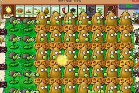 植物大战僵尸海滩版下载-植物大战僵尸下载 中文app