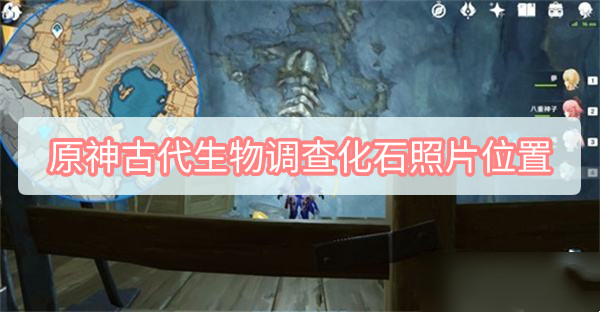 原神古代生物调查化石位置在哪