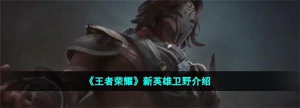 王者荣耀卫野是谁