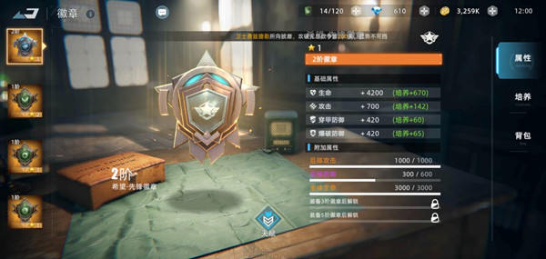 战争公约徽章怎么装