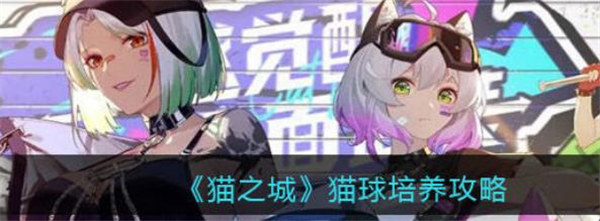 猫之城猫球怎么培养