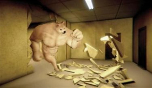 后室逃脱下载最新版