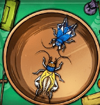 蛐蛐也疯狂免广告版下载安装