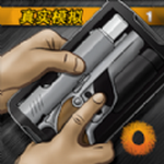 真实枪战模拟下载中文版最新版本安卓下载