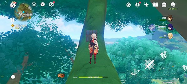 原神须弥城的华丽宝箱在哪