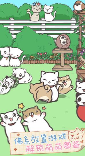 猫咪饲养日常2022最新版本安卓版