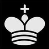 简单国际象棋游戏下载