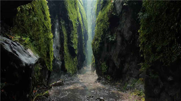 无名之地游戏中文版下载