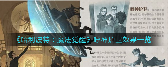 哈利波特魔法觉醒呼神护卫怎么样