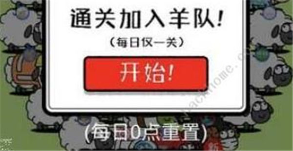 羊了个羊进不去怎么办