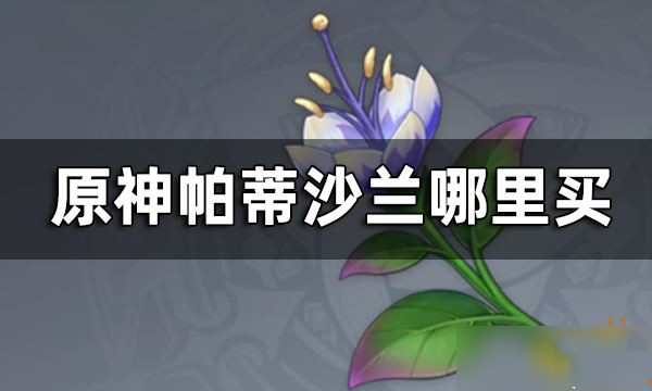 原神帕蒂沙兰哪里买