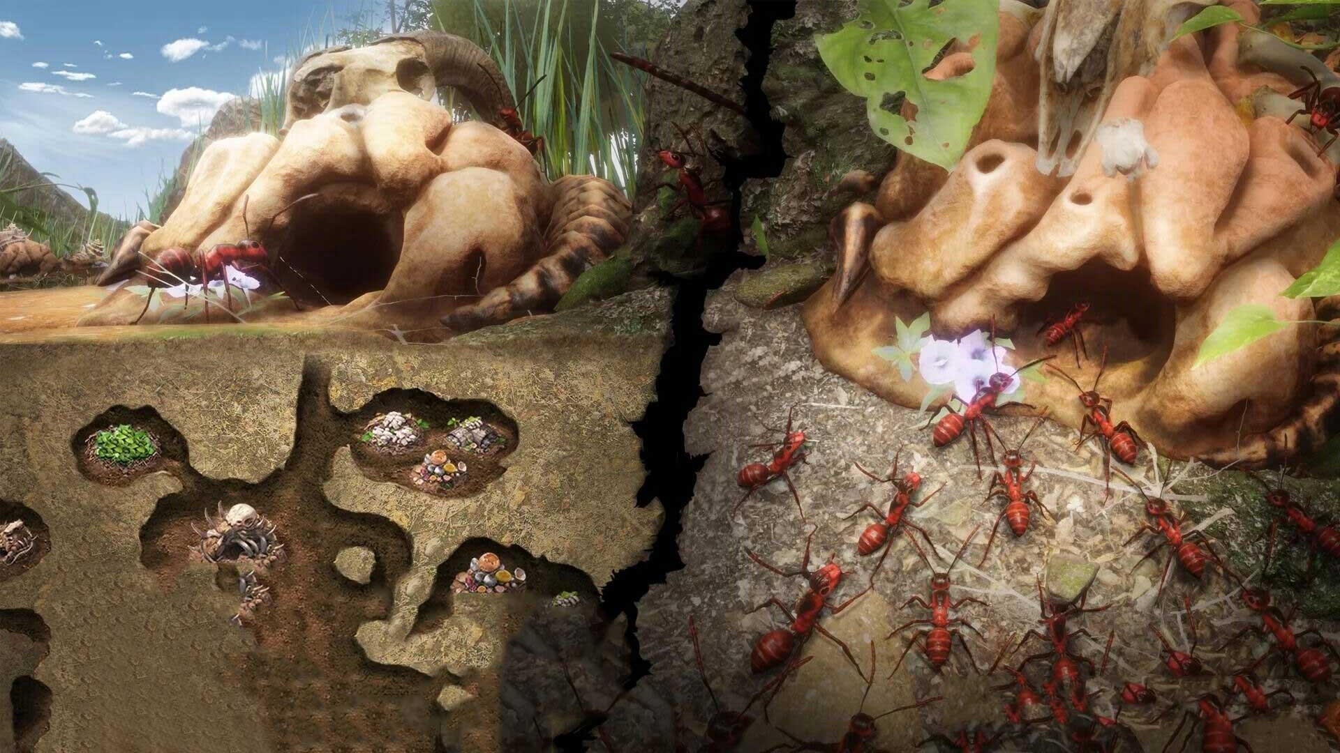 小小蚁窝游戏最新版