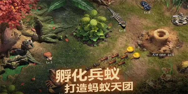 小小蚁国兑换码最新