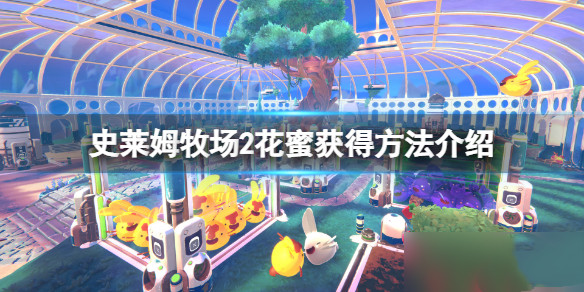 史莱姆牧场2月露花蜜怎么获得