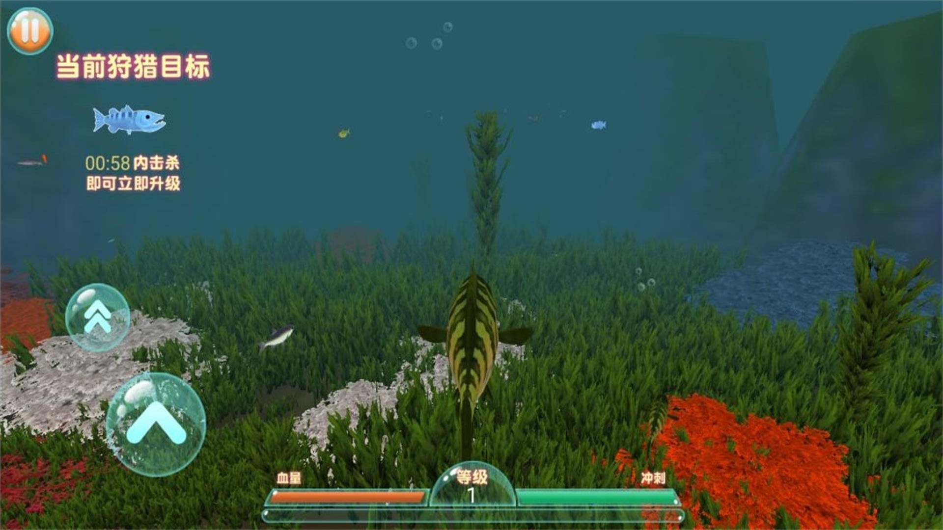 进击的鱼鱼游戏下载