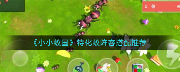 小小蚁国特化蚁搭配方法