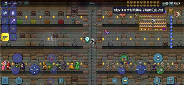 泰拉瑞亚醉酒世界种子有哪些