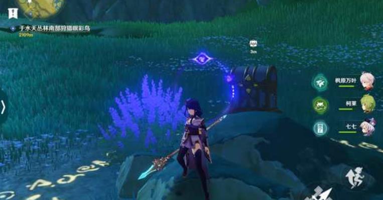 原神护世森宝箱在哪