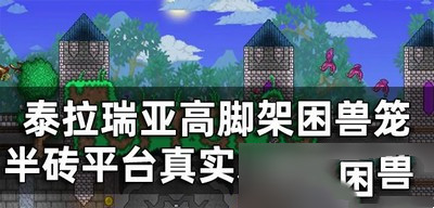 泰拉瑞亚高脚架困兽笼半砖平台真墙怎么做