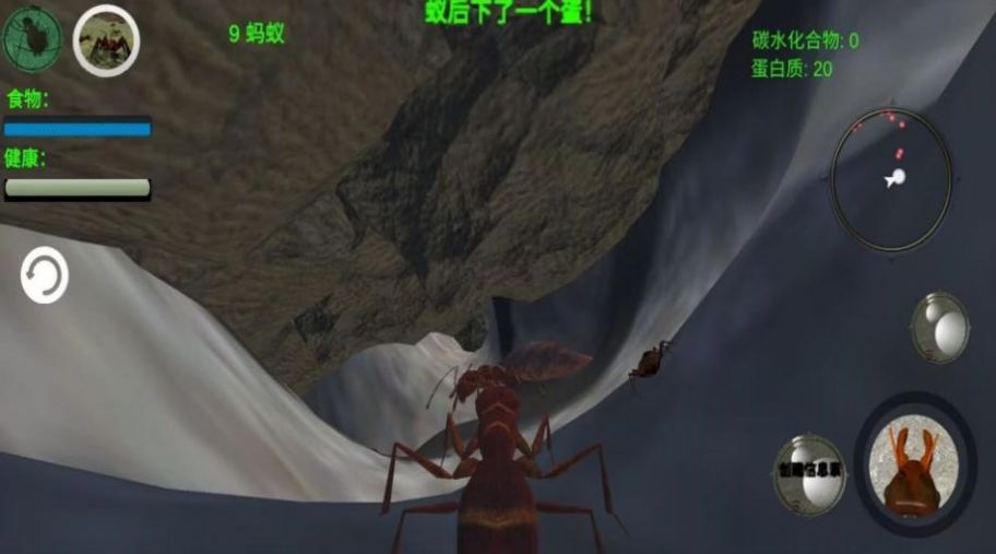 奇妙动物世界探险游戏下载