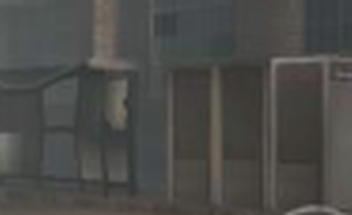 亿万尸潮22022最新版下载