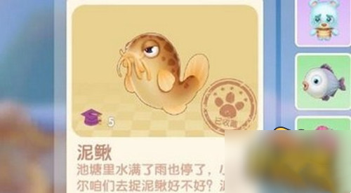 摩尔庄园泥鳅怎么钓