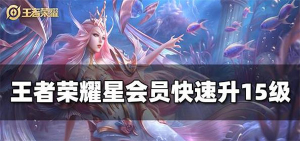 王者荣耀星会员怎么提升等级