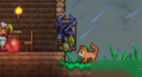 泰拉瑞亚天界壳怎么获取