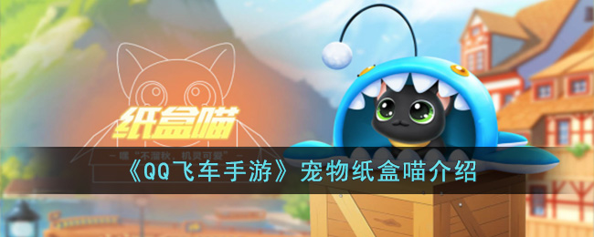 QQ飞车手游宠物纸盒喵怎么样