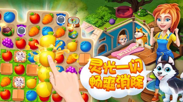 梦幻动物园游戏下载