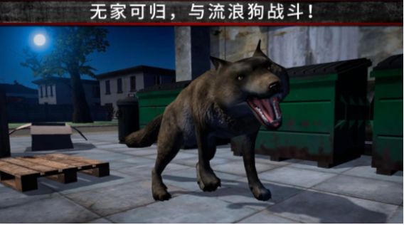 荒野流浪记游戏