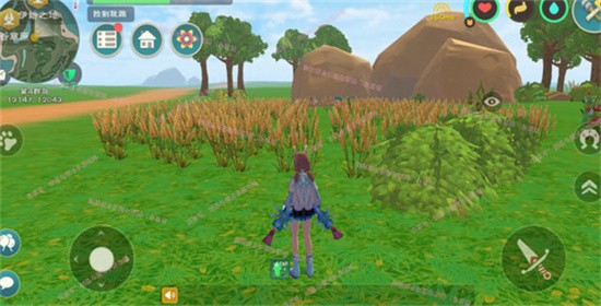 创造与魔法植物杂交