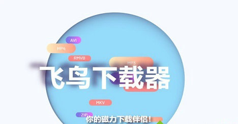 飞鸟下载器兑换码怎么获得