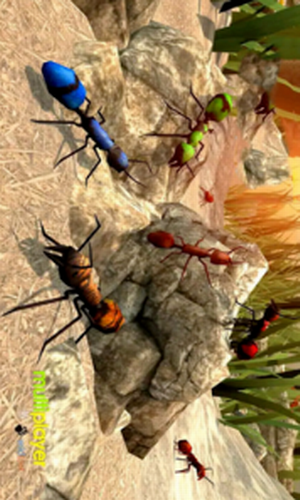 全员加速中之疯狂加速安卓下载2023