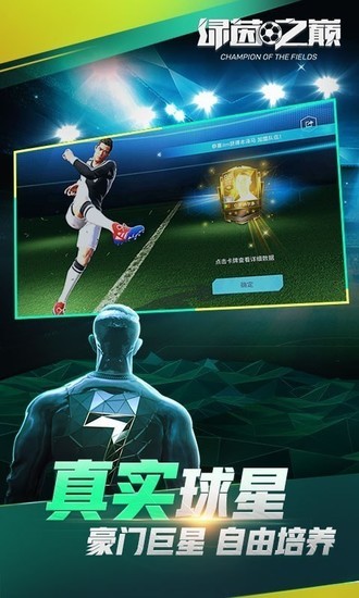 绿茵之巅九游版手游