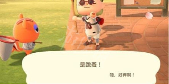 集合啦动物森友会怎么给小动物挠痒痒