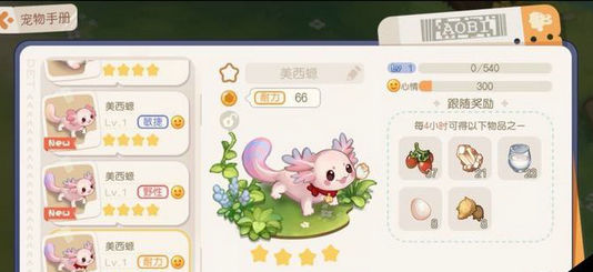 奥比岛梦想国度三星宠物在哪获取