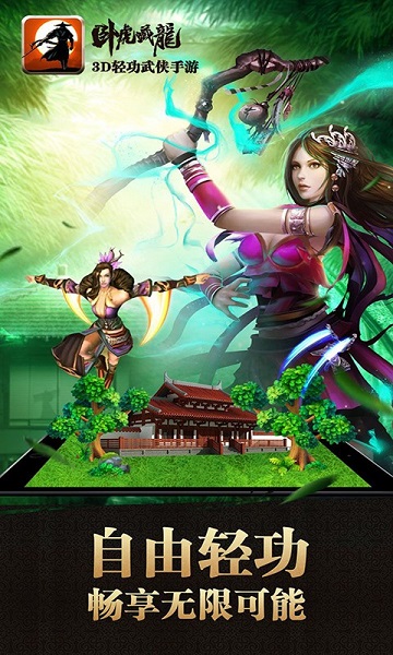 卧虎藏龙九游手游