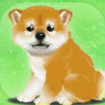 养育柴犬的治愈2023最新版本安卓版