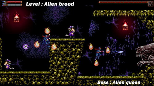 忍者游侠2023版最新下载