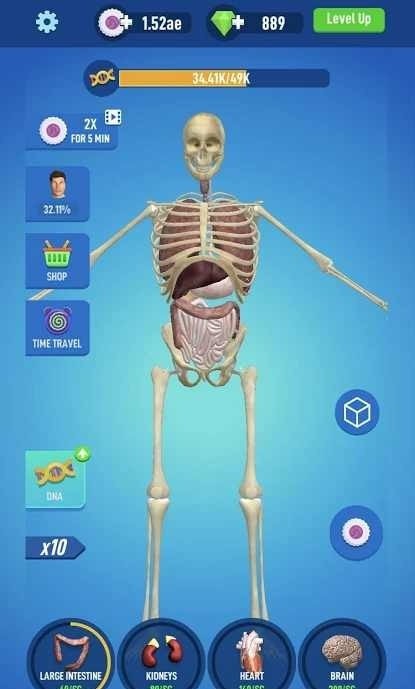 放置人类2安卓下载最新版