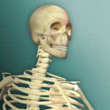 放置人类2安卓下载最新版