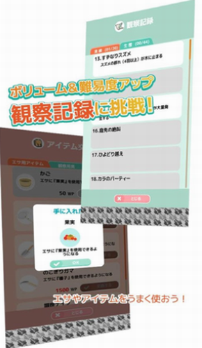 小鸟观察2安卓下载