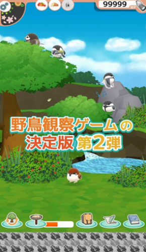 小鸟观察2安卓下载